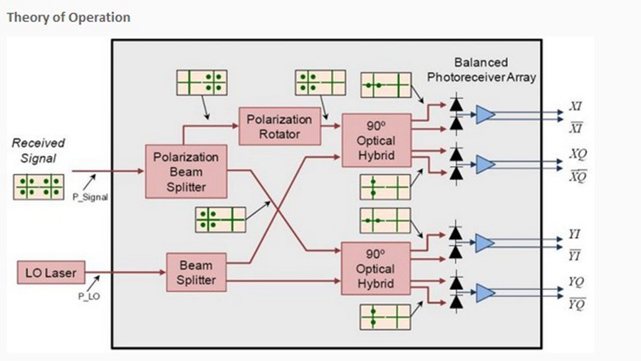 1493968397559413.jpg 3.jpg